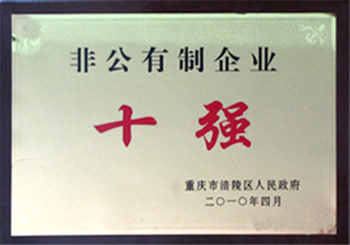 二0一0年四月重庆涪陵区人民政府授予“非公有制企业十强”称号